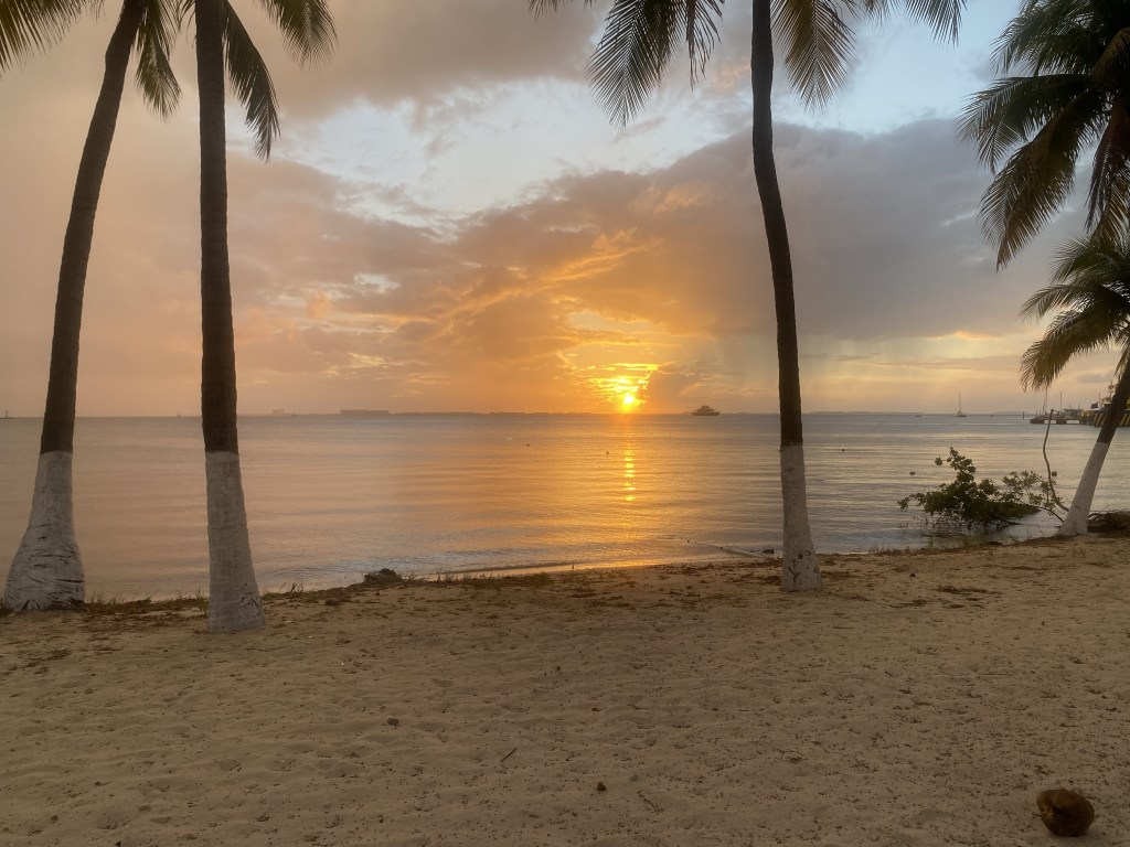 03.10.23: Golfcaddy Tour durch Isla&nbsp;Mujeres