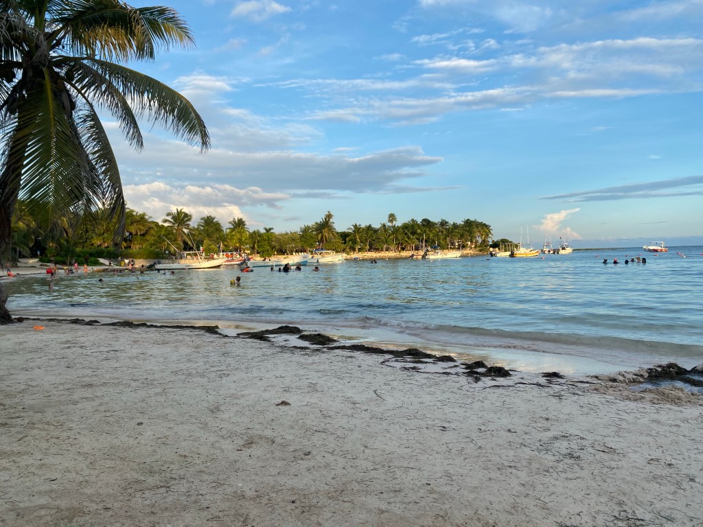 07.-08.10.23: Training in Playa del Carmen und Schwimmen mit&nbsp;Schildkröten