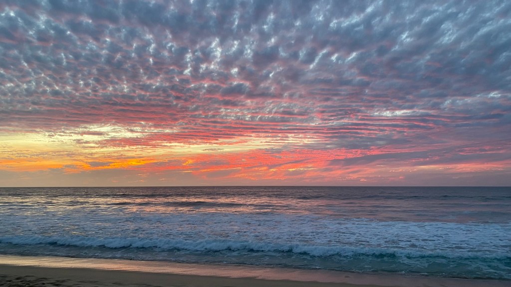14.03. – 20.03.24: Meine letzte Station in Mexiko: San&nbsp;Pancho
